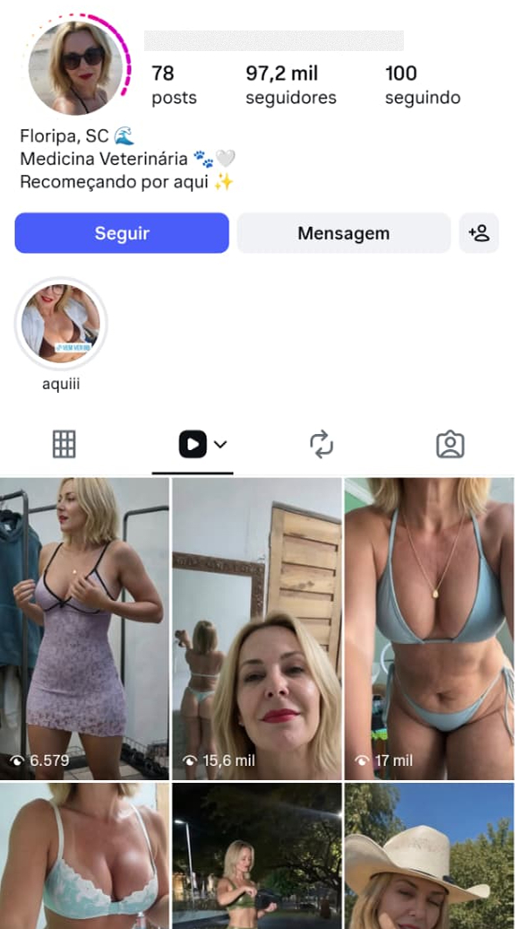 Real Instagram profile used as reference 3