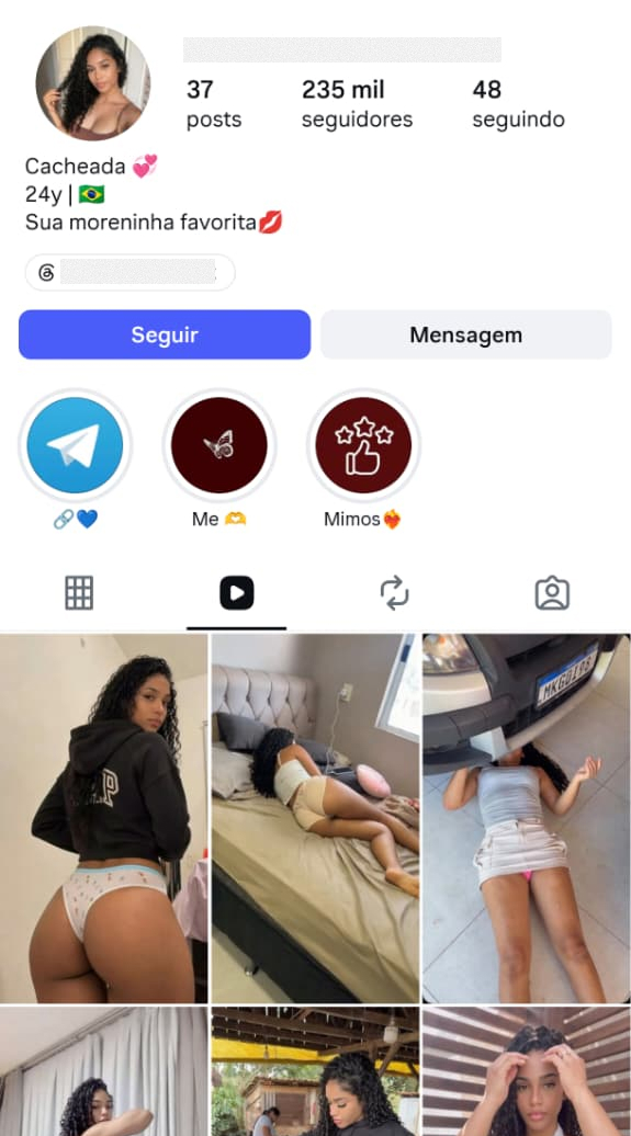 Real Instagram profile used as reference 4