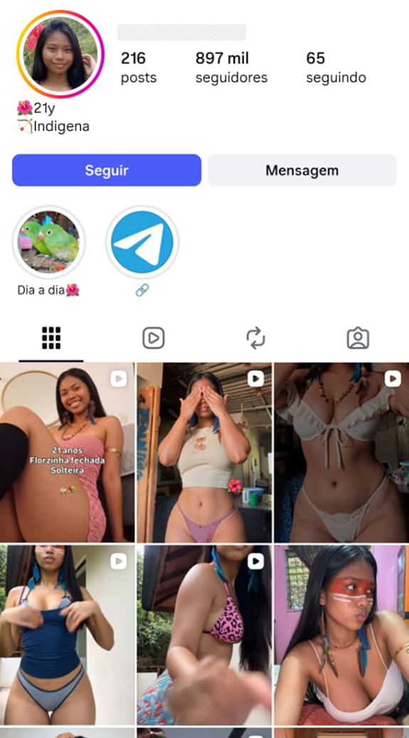 Real Instagram profile used as reference 5