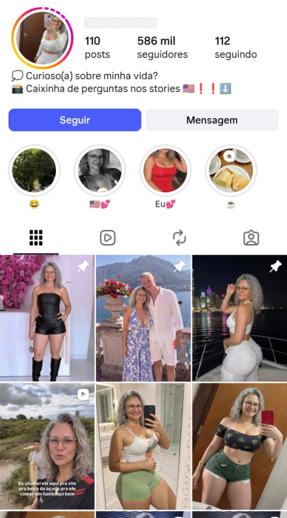 Real Instagram profile used as reference 6