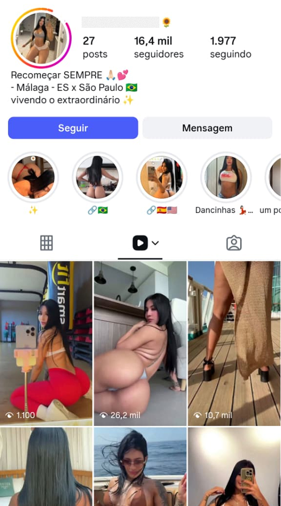 Real Instagram profile used as reference 10