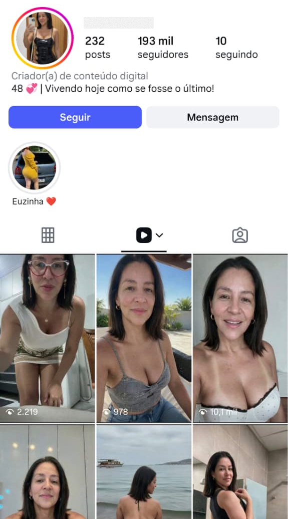 Real Instagram profile used as reference 14